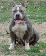 Big Daddy Cain